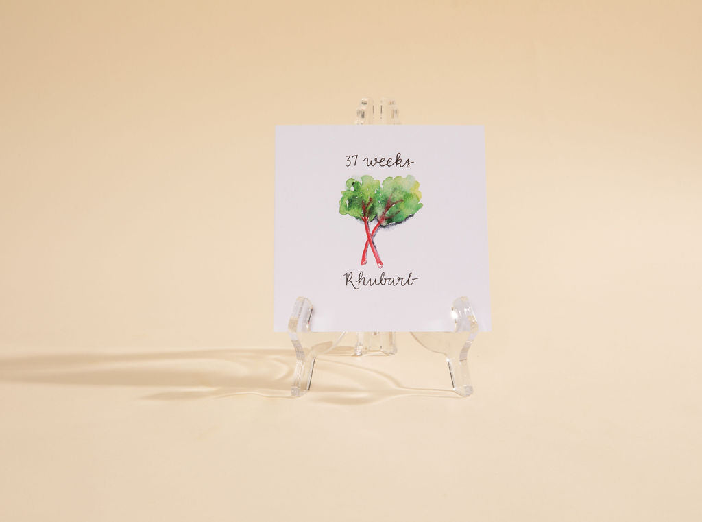 Jardin des Bébés Pregnancy Growth Cards