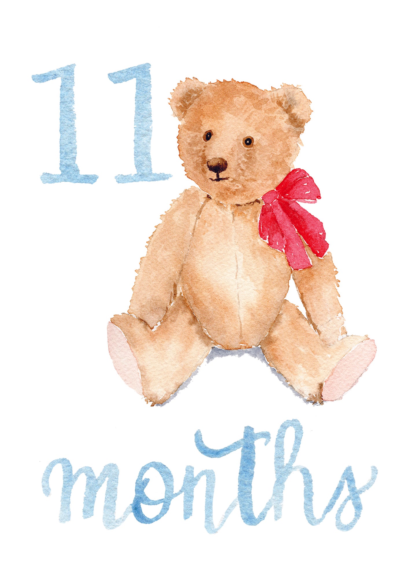 Baby Boy Monthly Milestone Cards