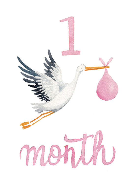 Baby Girl Monthly Milestone Cards