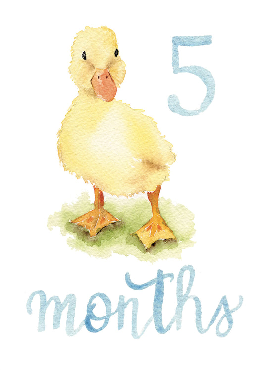 Baby Boy Monthly Milestone Cards