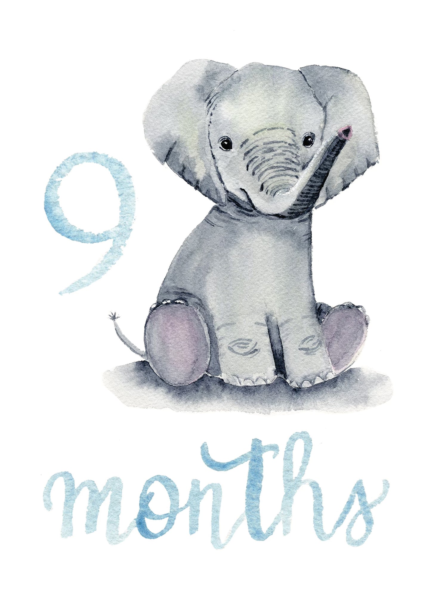 Baby Boy Monthly Milestone Cards