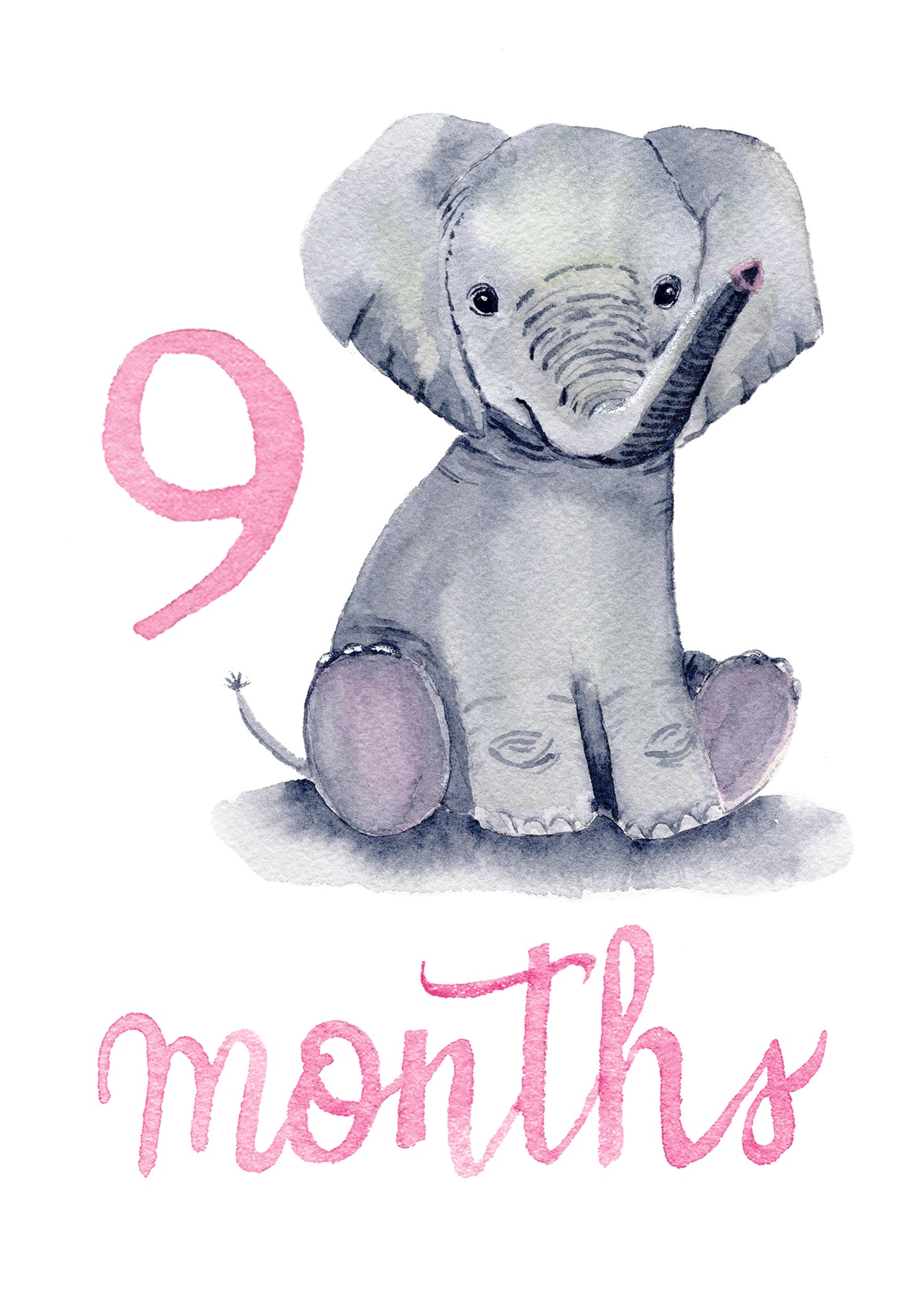 Baby Girl Monthly Milestone Cards