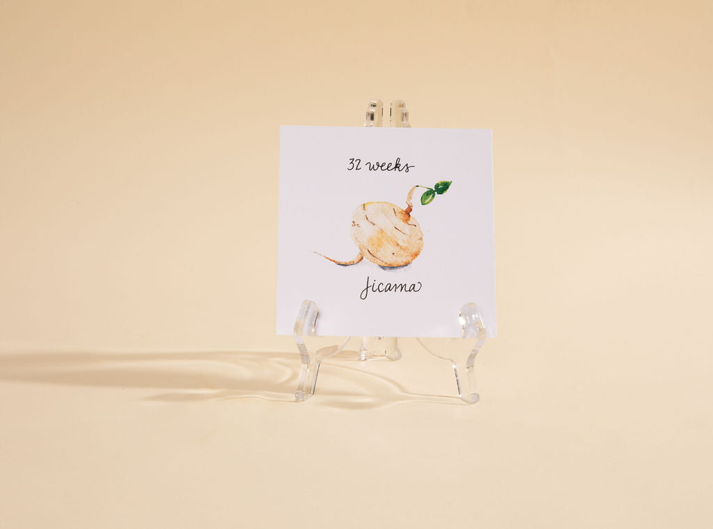 Jardin des Bébés Pregnancy Growth Cards